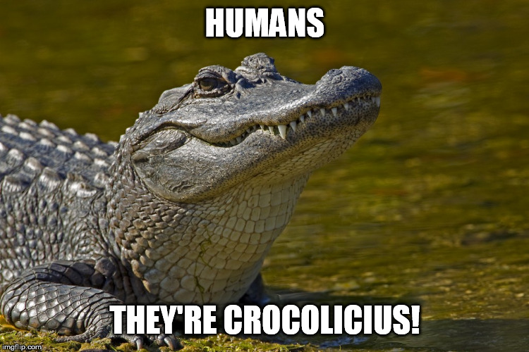Aligatorlolhoe | HUMANS THEY'RE CROCOLICIUS! | image tagged in aligatorlolhoe | made w/ Imgflip meme maker