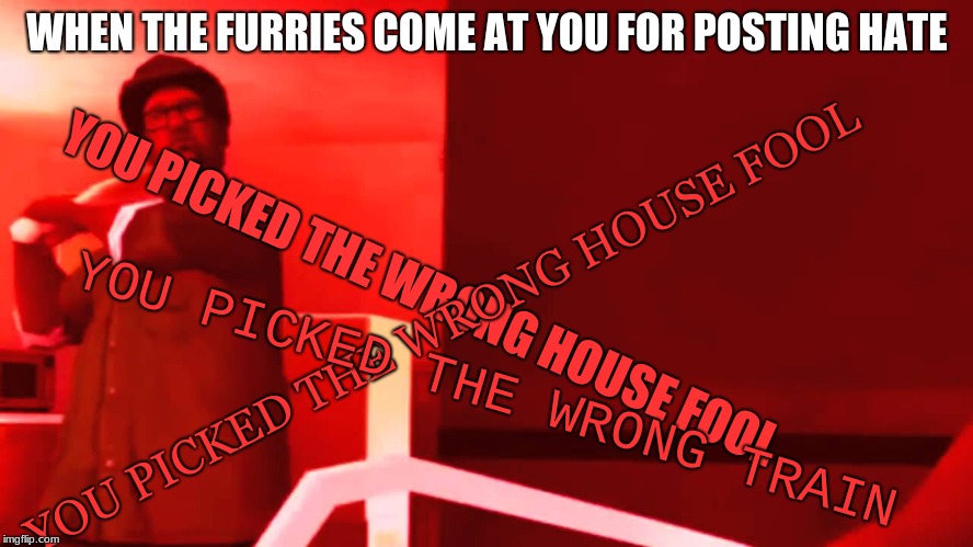 YOU PICKED THE WRONG HOUSE FOOL | WHEN THE FURRIES COME AT YOU FOR POSTING HATE; YOU PICKED THE WRONG HOUSE FOOL; YOU PICKED THE WRONG HOUSE FOOL; YOU PICKED THE WRONG TRAIN | image tagged in you picked the wrong house fool | made w/ Imgflip meme maker