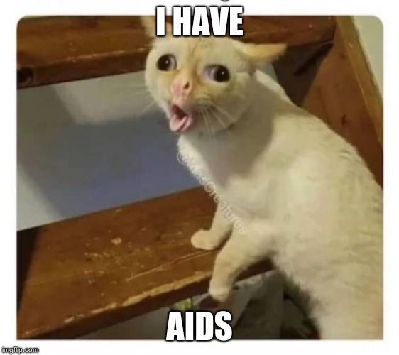 I HAVE AIDS | image tagged in coughing cat | made w/ Imgflip meme maker