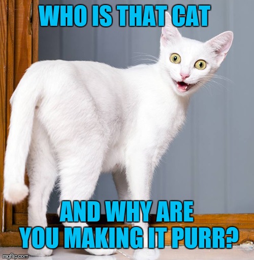 Overly Attached Cat | WHO IS THAT CAT; AND WHY ARE YOU MAKING IT PURR? | image tagged in memes,funny,overly attached cat,overly attached girlfriend,44colt,cats | made w/ Imgflip meme maker