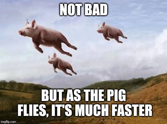 Pigs Fly | NOT BAD BUT AS THE PIG FLIES, IT'S MUCH FASTER | image tagged in pigs fly | made w/ Imgflip meme maker
