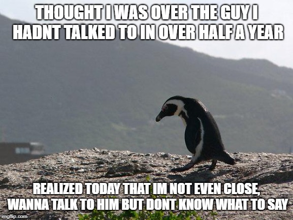 Sad Penguin | THOUGHT I WAS OVER THE GUY I HADNT TALKED TO IN OVER HALF A YEAR; REALIZED TODAY THAT IM NOT EVEN CLOSE, WANNA TALK TO HIM BUT DONT KNOW WHAT TO SAY | image tagged in sad penguin | made w/ Imgflip meme maker