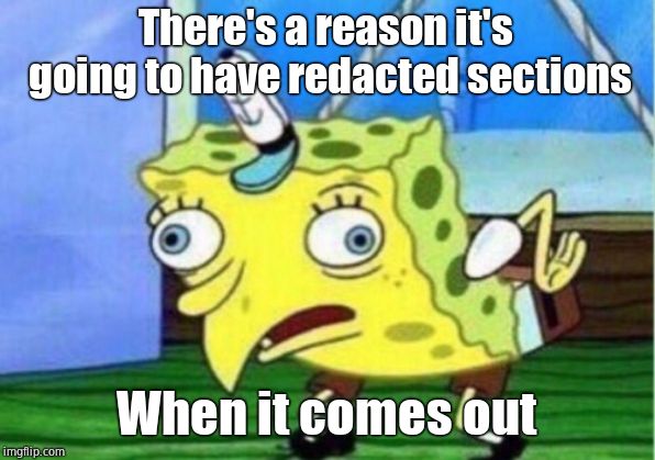 Mocking Spongebob Meme | There's a reason it's going to have redacted sections When it comes out | image tagged in memes,mocking spongebob | made w/ Imgflip meme maker