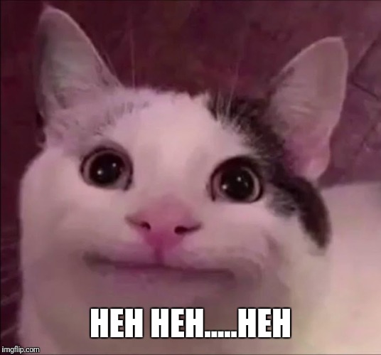 Awkward Smile Cat | HEH HEH.....HEH | image tagged in awkward smile cat | made w/ Imgflip meme maker