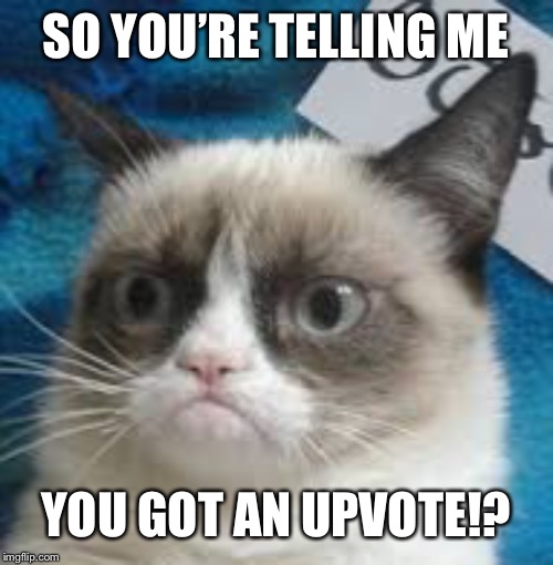 SO YOU’RE TELLING ME; YOU GOT AN UPVOTE!? | image tagged in so wait what | made w/ Imgflip meme maker