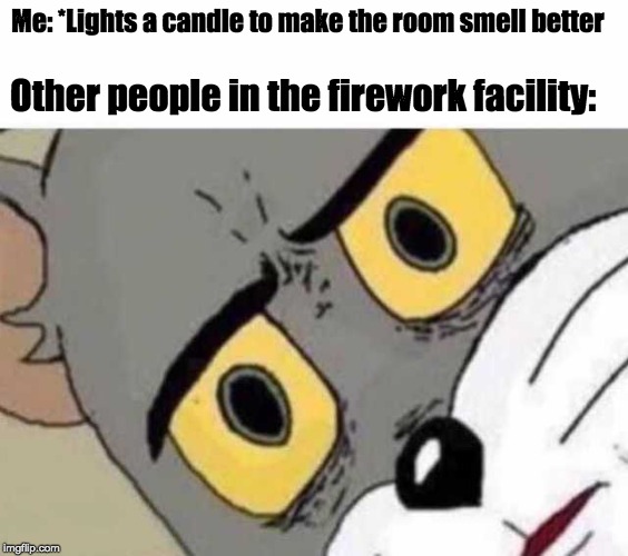 Tom Cat Unsettled Close up | Me: *Lights a candle to make the room smell better; Other people in the firework facility: | image tagged in tom cat unsettled close up | made w/ Imgflip meme maker