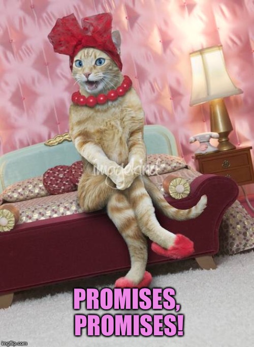 PROMISES, PROMISES! | made w/ Imgflip meme maker