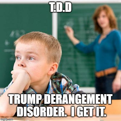 Kid not paying attention | T.D.D TRUMP DERANGEMENT DISORDER.  I GET IT. | image tagged in kid not paying attention | made w/ Imgflip meme maker