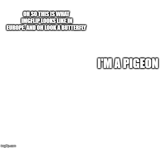 Meanwhile In Another Part Of Europe | OH SO THIS IS WHAT IMGFLIP LOOKS LIKE IN EUROPE. AND OH LOOK A BUTTERFLY; I'M A PIGEON | image tagged in memes,is this a pigeon,blank white template,europe,eu | made w/ Imgflip meme maker