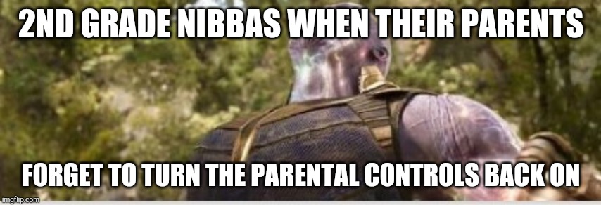 Thanos Final Stone | 2ND GRADE NIBBAS WHEN THEIR PARENTS; FORGET TO TURN THE PARENTAL CONTROLS BACK ON | image tagged in thanos final stone,thanos,thanos meme | made w/ Imgflip meme maker