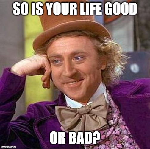 Creepy Condescending Wonka Meme | SO IS YOUR LIFE GOOD; OR BAD? | image tagged in memes,creepy condescending wonka | made w/ Imgflip meme maker