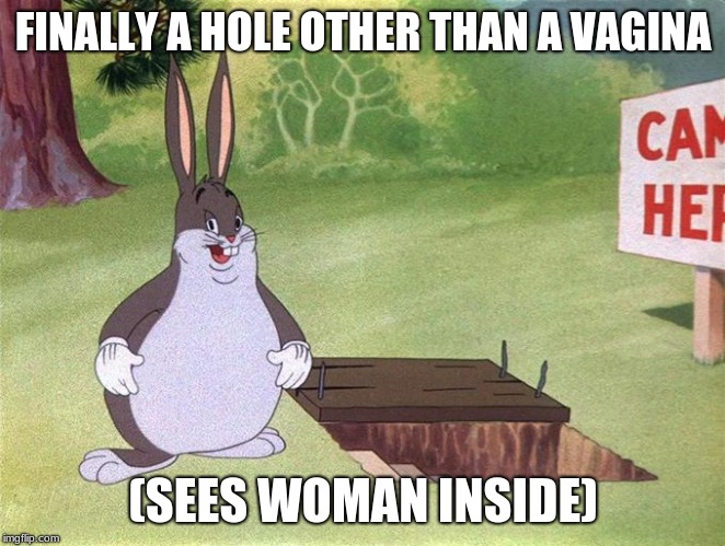 Big Chungus | FINALLY A HOLE OTHER THAN A VAGINA; (SEES WOMAN INSIDE) | image tagged in big chungus | made w/ Imgflip meme maker