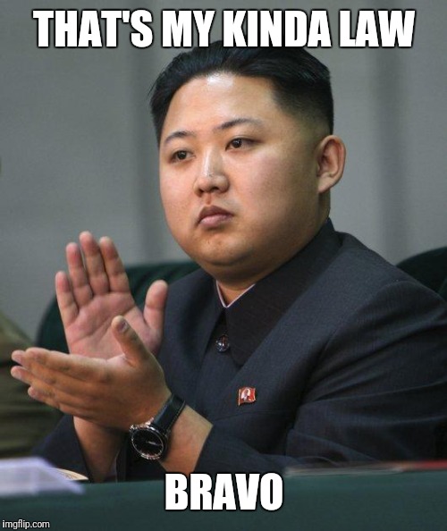 Kim Jong Un | THAT'S MY KINDA LAW BRAVO | image tagged in kim jong un | made w/ Imgflip meme maker
