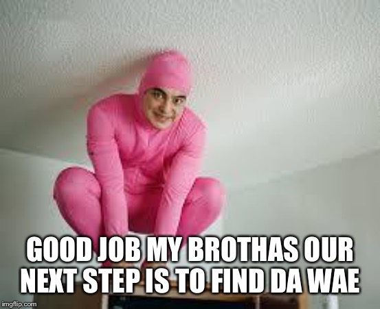 pink guy | GOOD JOB MY BROTHAS OUR NEXT STEP IS TO FIND DA WAE | image tagged in pink guy | made w/ Imgflip meme maker