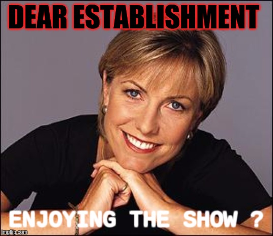 #DARKNESStoLIGHT | DEAR ESTABLISHMENT; ENJOYING THE SHOW ? | image tagged in the great awakening | made w/ Imgflip meme maker