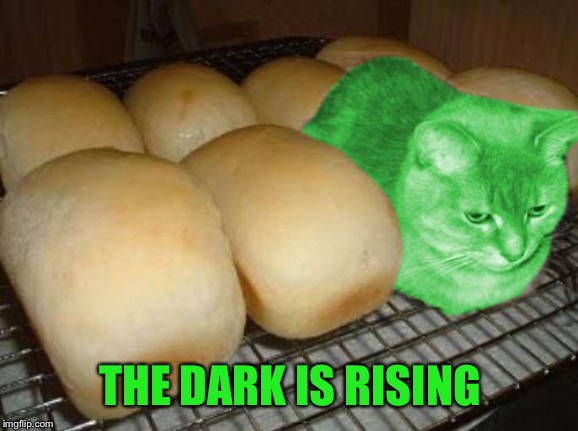 Loaf RayCat | THE DARK IS RISING | image tagged in loaf raycat | made w/ Imgflip meme maker