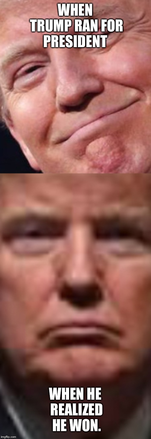 WHEN TRUMP RAN FOR PRESIDENT; WHEN HE REALIZED HE WON. | image tagged in donald trump | made w/ Imgflip meme maker