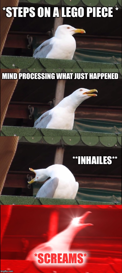 What happens when you step on a LEGO piece | *STEPS ON A LEGO PIECE *; MIND PROCESSING WHAT JUST HAPPENED; **INHAILES**; *SCREAMS* | image tagged in memes,inhaling seagull | made w/ Imgflip meme maker