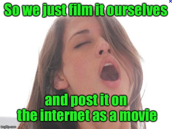 orgasm | So we just film it ourselves and post it on the internet as a movie | image tagged in orgasm | made w/ Imgflip meme maker