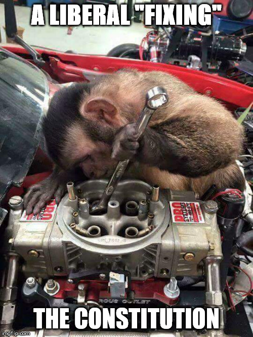 Monkey mechanic | A LIBERAL "FIXING"; THE CONSTITUTION | image tagged in monkey mechanic | made w/ Imgflip meme maker