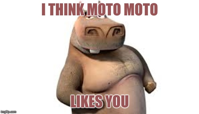 moto moto | I THINK MOTO MOTO; LIKES YOU | image tagged in moto moto | made w/ Imgflip meme maker