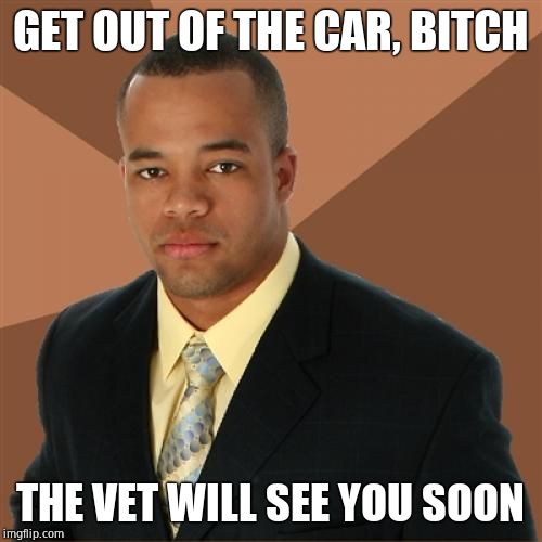 Successful Black Man Meme | GET OUT OF THE CAR, B**CH THE VET WILL SEE YOU SOON | image tagged in memes,successful black man | made w/ Imgflip meme maker
