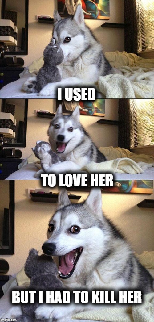 Bad 90's Dog | I USED; TO LOVE HER; BUT I HAD TO KILL HER | image tagged in memes,bad pun dog,90's,guns and roses,husky,love | made w/ Imgflip meme maker