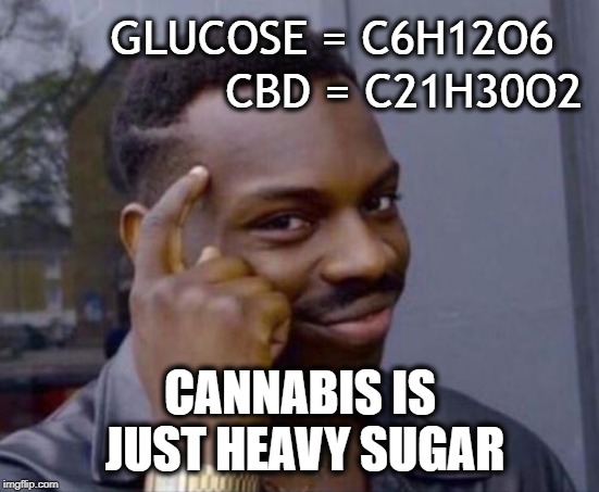 Roll Safe, Smoke Sugar | GLUCOSE = C6H12O6; CBD = C21H30O2; CANNABIS IS JUST HEAVY SUGAR | image tagged in black guy pointing at head,sugar,cannabis,weed,cbd,chemistry | made w/ Imgflip meme maker
