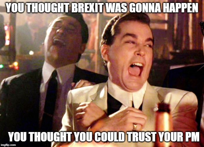 Good Fellas Hilarious | YOU THOUGHT BREXIT WAS GONNA HAPPEN; YOU THOUGHT YOU COULD TRUST YOUR PM | image tagged in memes,good fellas hilarious | made w/ Imgflip meme maker