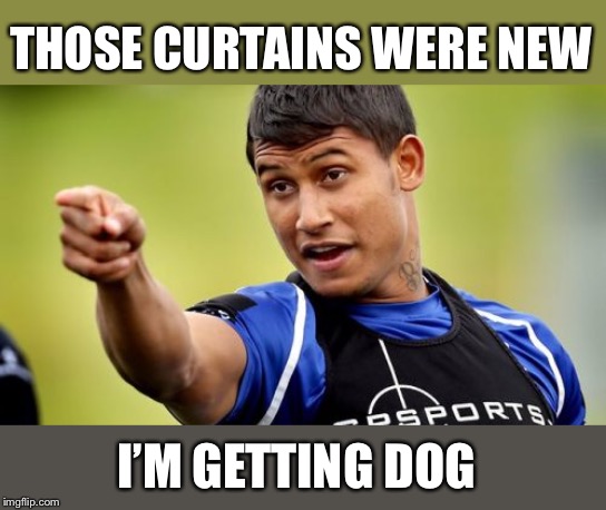 Ben Barba Pointing Meme | THOSE CURTAINS WERE NEW I’M GETTING DOG | image tagged in memes,ben barba pointing | made w/ Imgflip meme maker