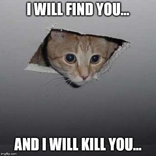 Ceiling Cat Meme | I WILL FIND YOU... AND I WILL KILL YOU... | image tagged in memes,ceiling cat | made w/ Imgflip meme maker
