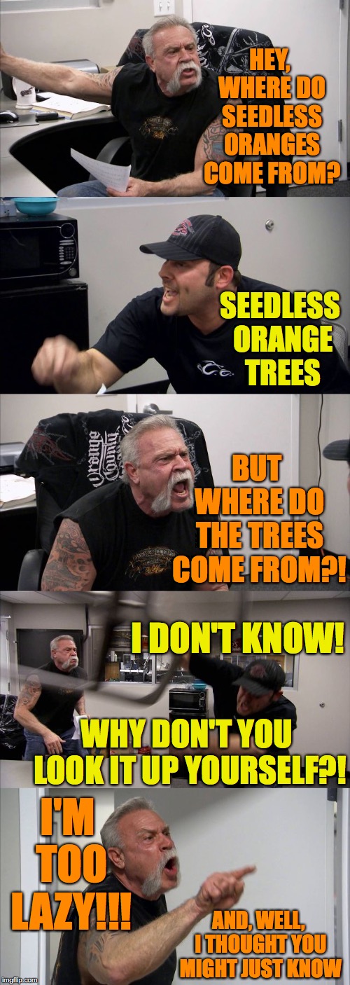 The internet has changed our lives forever  ( : | HEY, WHERE DO SEEDLESS ORANGES COME FROM? SEEDLESS ORANGE TREES; BUT WHERE DO THE TREES COME FROM?! I DON'T KNOW! WHY DON'T YOU LOOK IT UP YOURSELF?! I'M TOO LAZY!!! AND, WELL, I THOUGHT YOU MIGHT JUST KNOW | image tagged in memes,american chopper argument,forever,american chopper doesnt find the internet | made w/ Imgflip meme maker