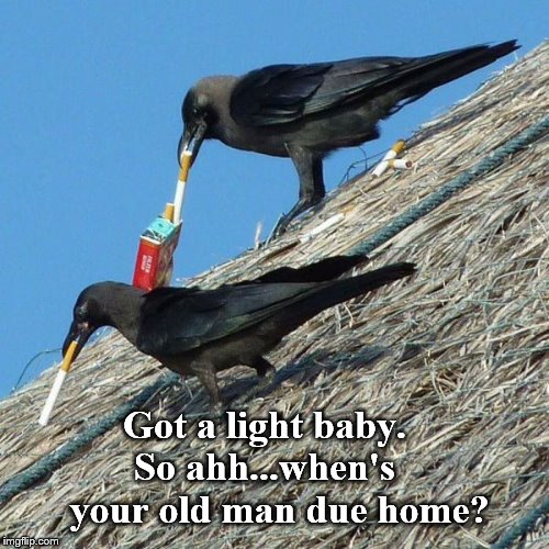 Something to Crow about. | Got a light baby.   So ahh...when's      your old man due home? | image tagged in caught in the act | made w/ Imgflip meme maker