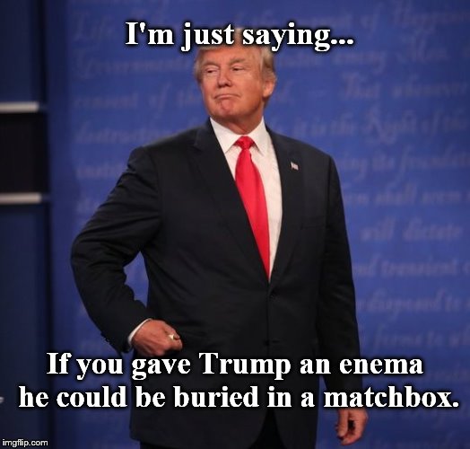 Sometimes the truth hurts. | I'm just saying... If you gave Trump an enema he could be buried in a matchbox. | image tagged in talking shit | made w/ Imgflip meme maker