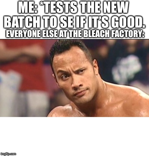 The Rock Eyebrow | ME: *TESTS THE NEW BATCH TO SE IF IT’S GOOD. EVERYONE ELSE AT THE BLEACH FACTORY: | image tagged in the rock eyebrow | made w/ Imgflip meme maker