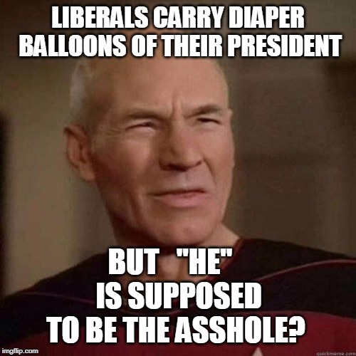 Dafuq Picard | LIBERALS CARRY DIAPER BALLOONS OF THEIR PRESIDENT; BUT   "HE"   IS SUPPOSED TO BE THE ASSHOLE? | image tagged in dafuq picard | made w/ Imgflip meme maker