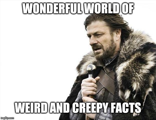 Brace Yourselves X is Coming | WONDERFUL WORLD OF; WEIRD AND CREEPY FACTS | image tagged in memes,brace yourselves x is coming | made w/ Imgflip meme maker