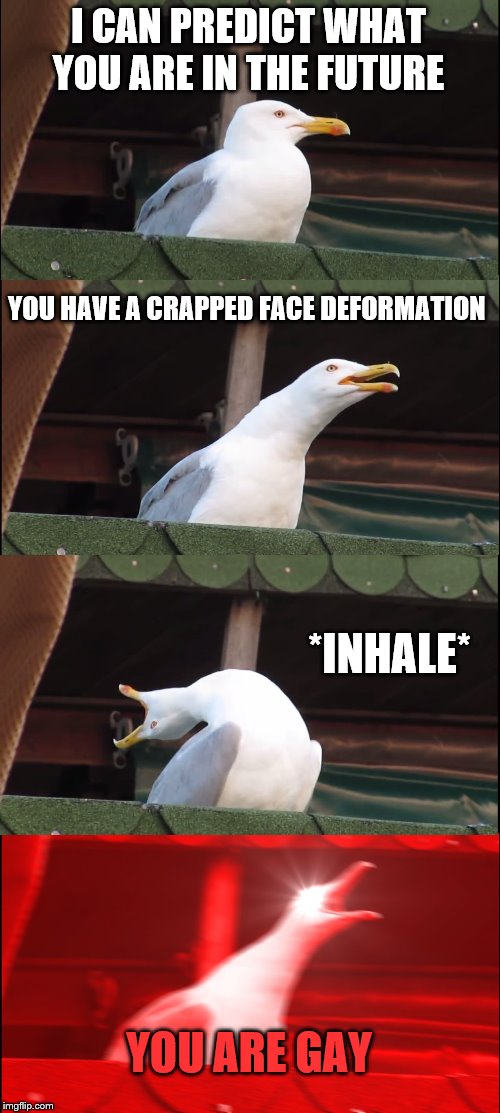 Inhaling Seagull | I CAN PREDICT WHAT YOU ARE IN THE FUTURE; YOU HAVE A CRAPPED FACE DEFORMATION; *INHALE*; YOU ARE GAY | image tagged in memes,inhaling seagull | made w/ Imgflip meme maker