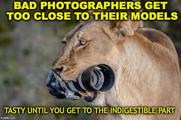 Lesson In Photography | BAD PHOTOGRAPHERS GET TOO CLOSE TO THEIR MODELS; TASTY UNTIL YOU GET TO THE INDIGESTIBLE PART | image tagged in lions,photographer,so close,predator,eaten | made w/ Imgflip meme maker