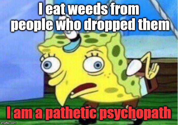 Mocking Spongebob Meme | I eat weeds from people who dropped them; I am a pathetic psychopath | image tagged in memes,mocking spongebob | made w/ Imgflip meme maker