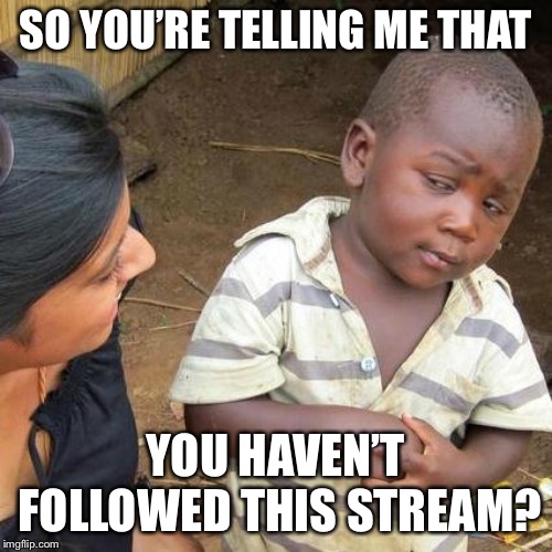 Third World Skeptical Kid | SO YOU’RE TELLING ME THAT; YOU HAVEN’T FOLLOWED THIS STREAM? | image tagged in memes,third world skeptical kid | made w/ Imgflip meme maker