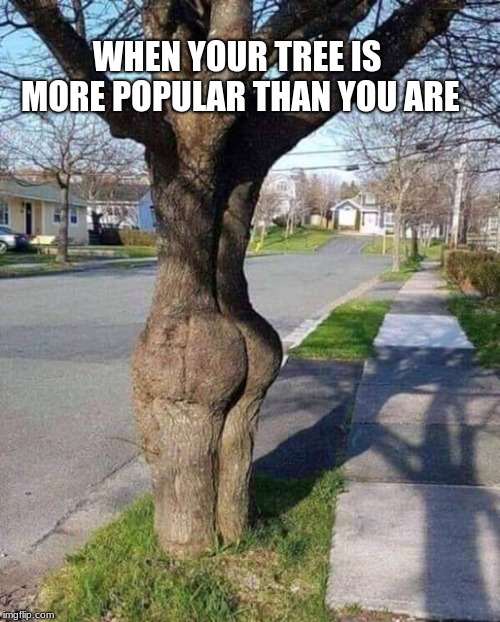 Nature is a beautiful | WHEN YOUR TREE IS MORE POPULAR THAN YOU ARE | image tagged in booty tree,popular tree,baby has back,nature is a beautiful | made w/ Imgflip meme maker