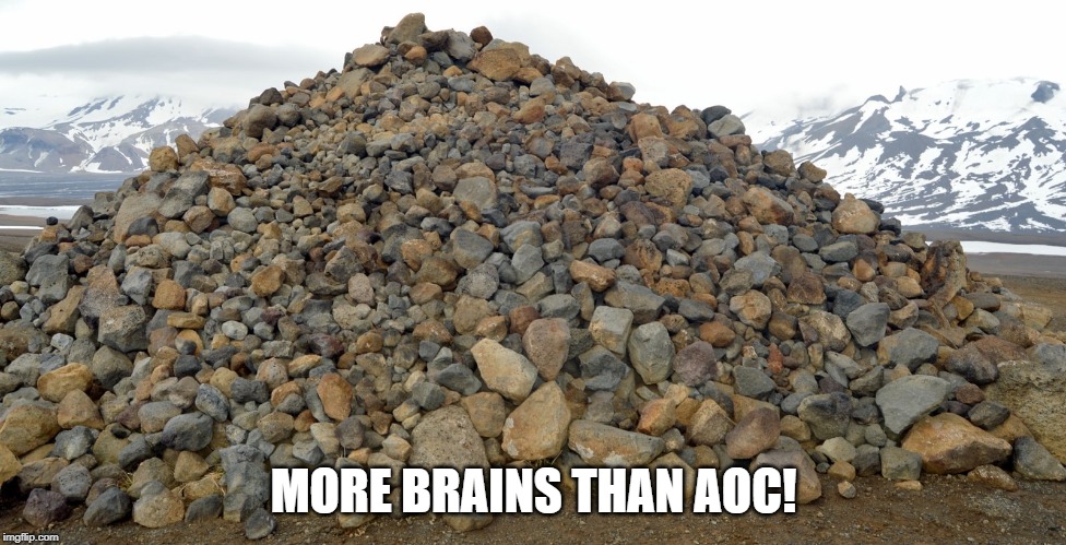 MORE BRAINS THAN AOC! | image tagged in politics | made w/ Imgflip meme maker