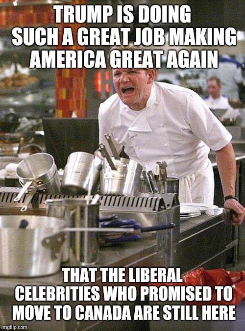 hell's kitchen | TRUMP IS DOING SUCH A GREAT JOB MAKING AMERICA GREAT AGAIN; THAT THE LIBERAL CELEBRITIES WHO PROMISED TO MOVE TO CANADA ARE STILL HERE | image tagged in hell's kitchen | made w/ Imgflip meme maker