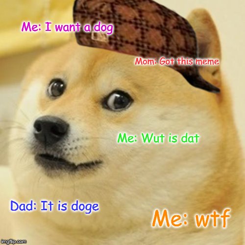 Doge Meme | Me: I want a dog; Mom: Got this meme; Me: Wut is dat; Dad: It is doge; Me: wtf | image tagged in memes,doge | made w/ Imgflip meme maker