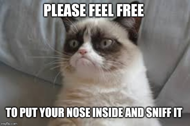 Grumpy cat | PLEASE FEEL FREE TO PUT YOUR NOSE INSIDE AND SNIFF IT | image tagged in grumpy cat | made w/ Imgflip meme maker