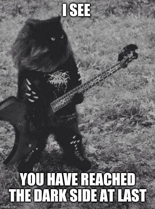 Black Metal Cat | I SEE YOU HAVE REACHED THE DARK SIDE AT LAST | image tagged in black metal cat | made w/ Imgflip meme maker