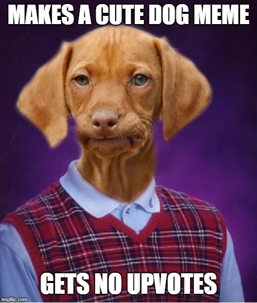 Bad Luck Raydog | MAKES A CUTE DOG MEME; GETS NO UPVOTES | image tagged in bad luck raydog | made w/ Imgflip meme maker