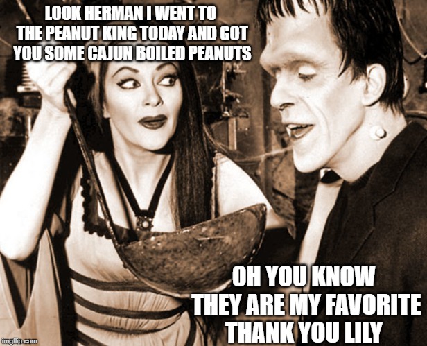 LOOK HERMAN I WENT TO THE PEANUT KING TODAY AND GOT YOU SOME CAJUN BOILED PEANUTS; OH YOU KNOW THEY ARE MY FAVORITE THANK YOU LILY | image tagged in funny | made w/ Imgflip meme maker