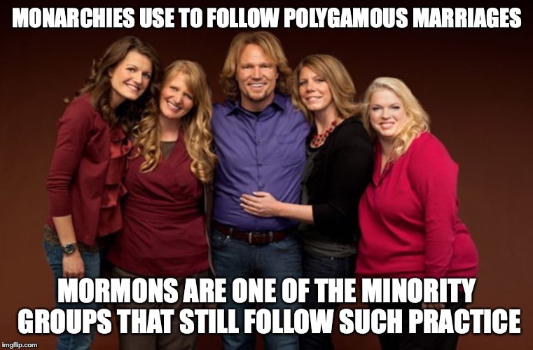 Sister Wives | MONARCHIES USE TO FOLLOW POLYGAMOUS MARRIAGES; MORMONS ARE ONE OF THE MINORITY GROUPS THAT STILL FOLLOW SUCH PRACTICE | image tagged in sister wives,memes,polugamy,mormon | made w/ Imgflip meme maker